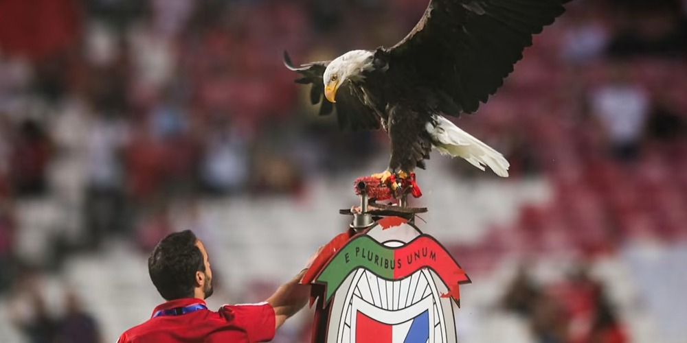 benfica_fc.jpg