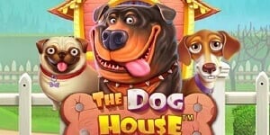 The Dog House