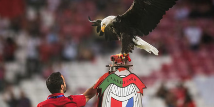 benfica_fc.jpg