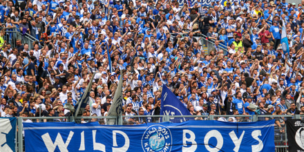 Karlsruher SC fc.jpg