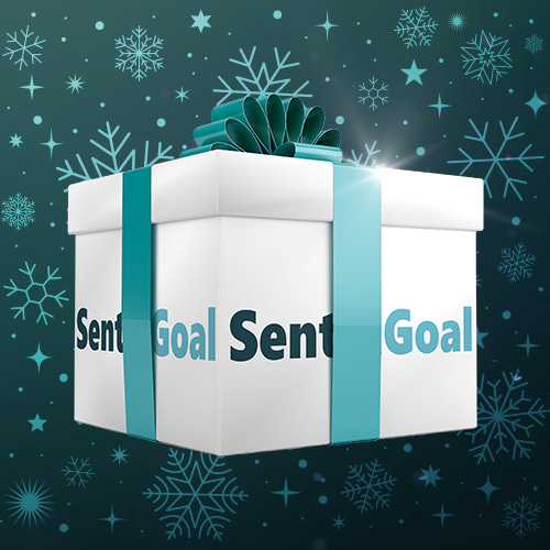 gift_box_500x500_sentragoal_xmas.jpg